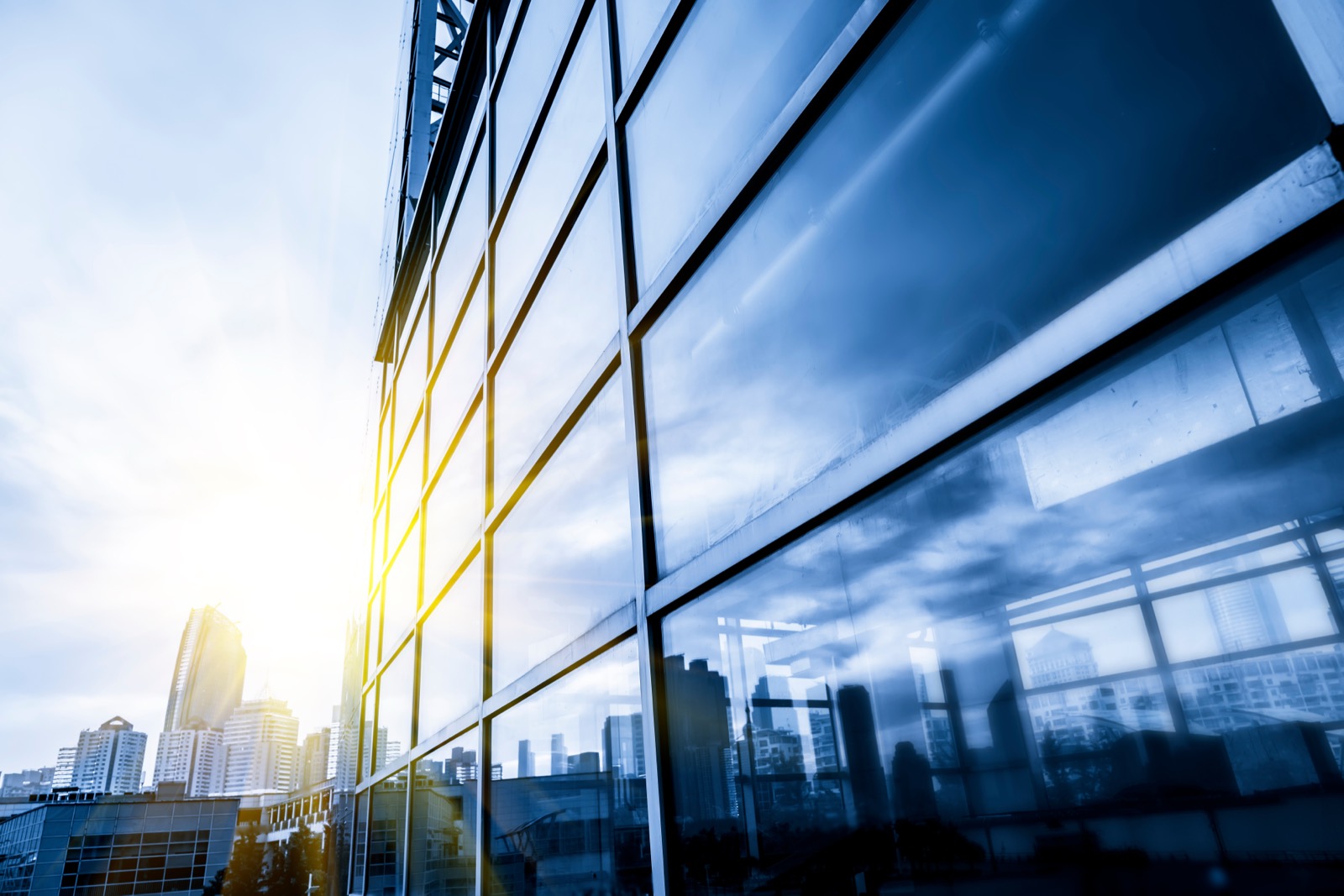 Glass office building in the sun