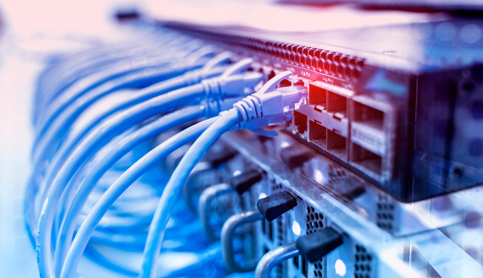 Network cables in a switch